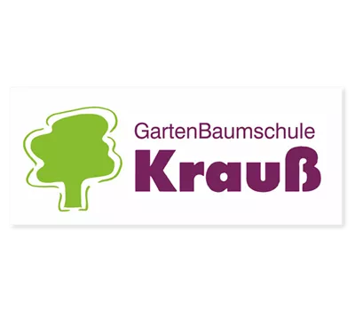 Actinidia arguta 'Ken's Red'®