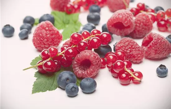 Beeren Beeren