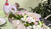 Gänseblümchen