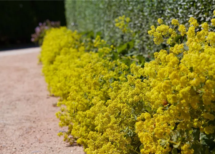 Blackbox-Gardening – die kreative Idee mit den großen Überraschungseffekten