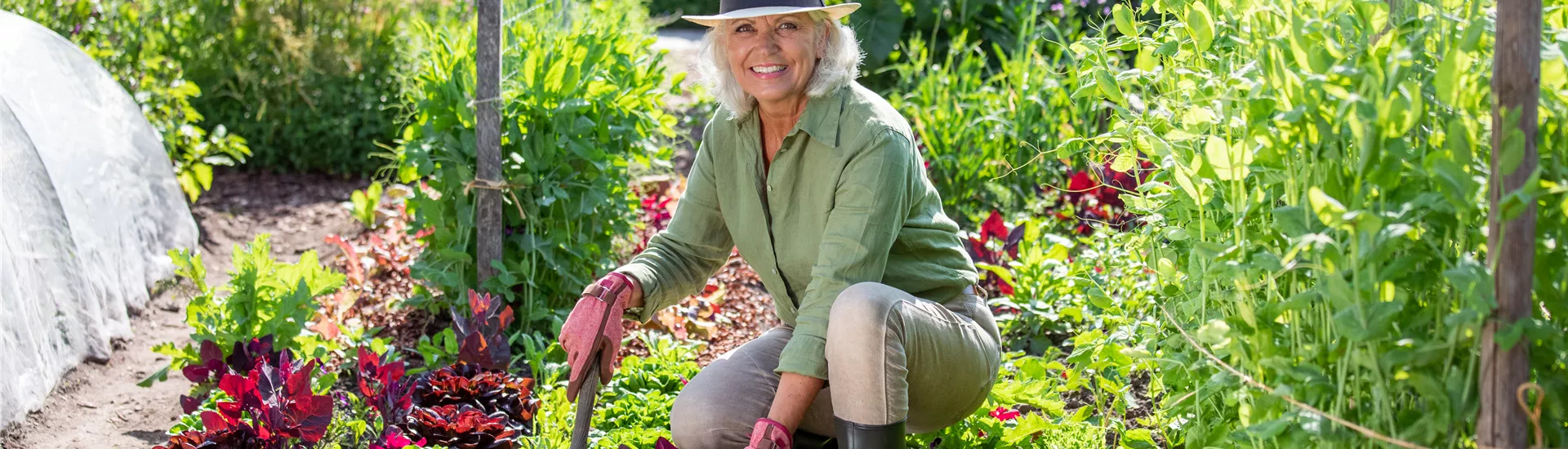 Gartenarbeit - Frau mit Salat und Gartenschaufel 