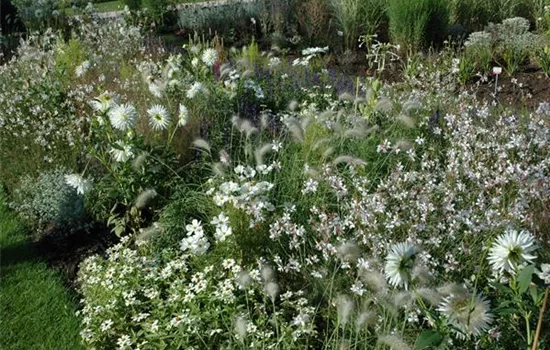 Ganz in Weiß – elegante Gartengestaltung mit Stil Ganz in Weiß – elegante Gartengestaltung mit Stil