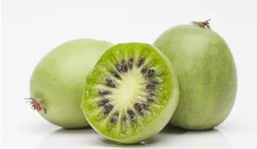 Kiwi 'Issai'